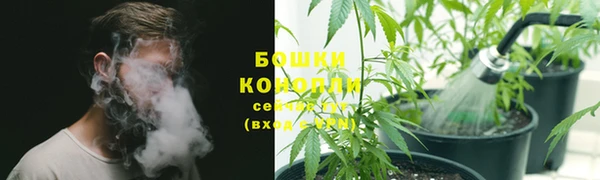 2c-b Козловка